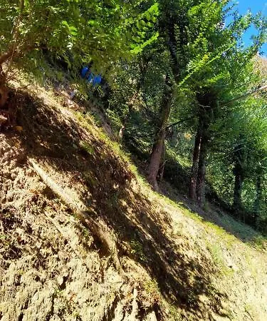 ホテル Ristorante Miramare ペザロ