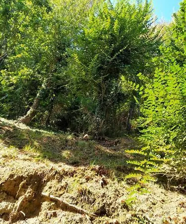 Hotel Ristorante Miramare