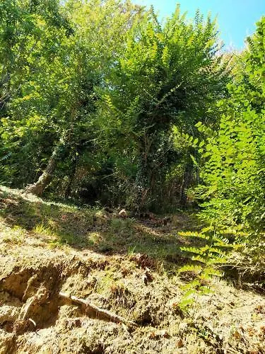 Szálloda Ristorante Miramare